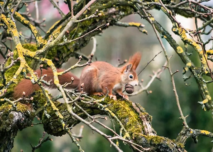Ledergerber Lägenhet
